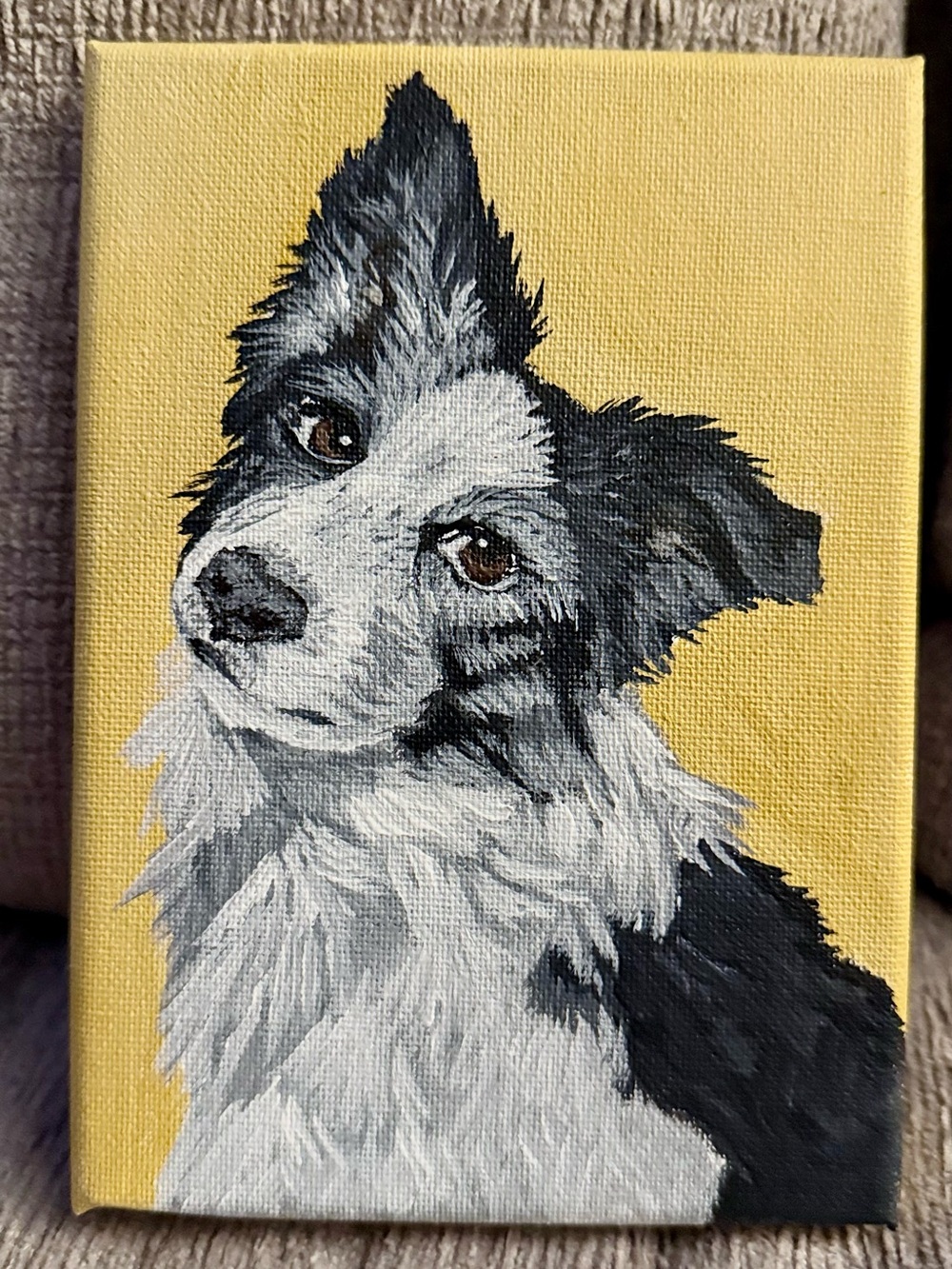Border Collie Canvas Art Print in Yellow